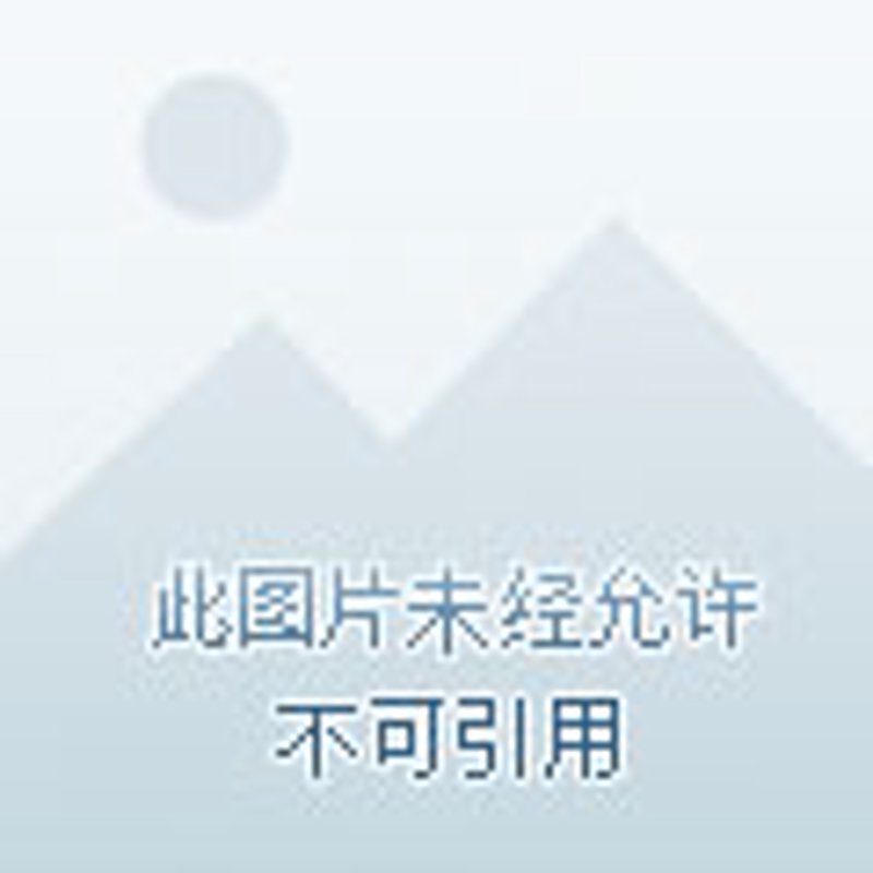 品牌故事：从小镇到全球