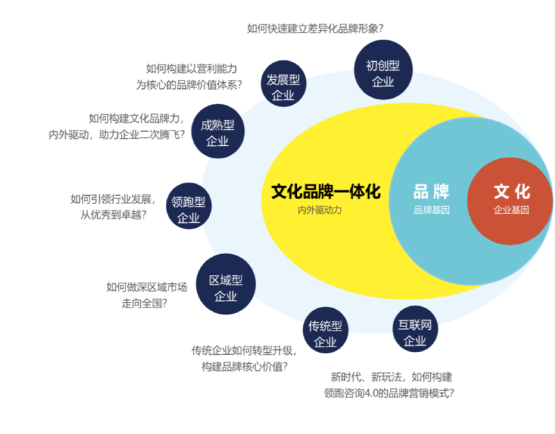 讲述你的故事：打造独特的公司简介